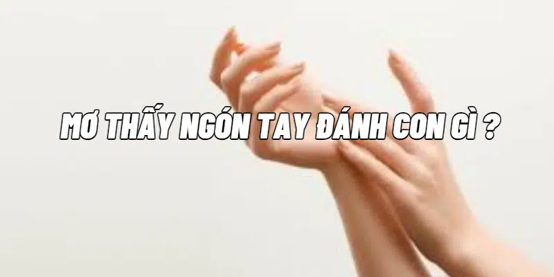 Mơ thấy ngón tay anh em nên đánh con gì trúng to