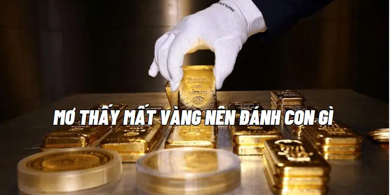 Mơ thấy mất vàng nên đánh con gì