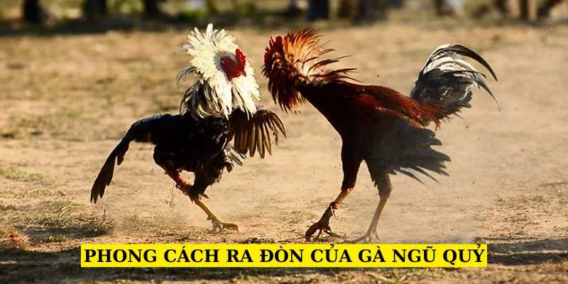 phong-cach-ra-don-cua-ga-ngu-quy