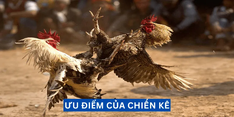 uu-diem-cua-chien-ke