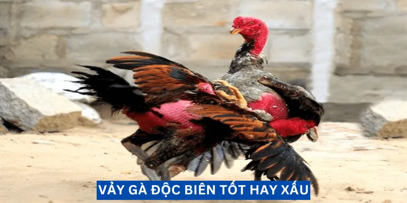 vay-doc-bien-la-tot-hay-xau