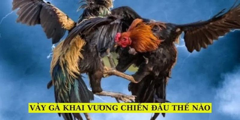 vay-ga-khai-vuong-chien-dau-ra-sao