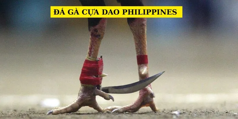 da-ga-cua-dao-philippines