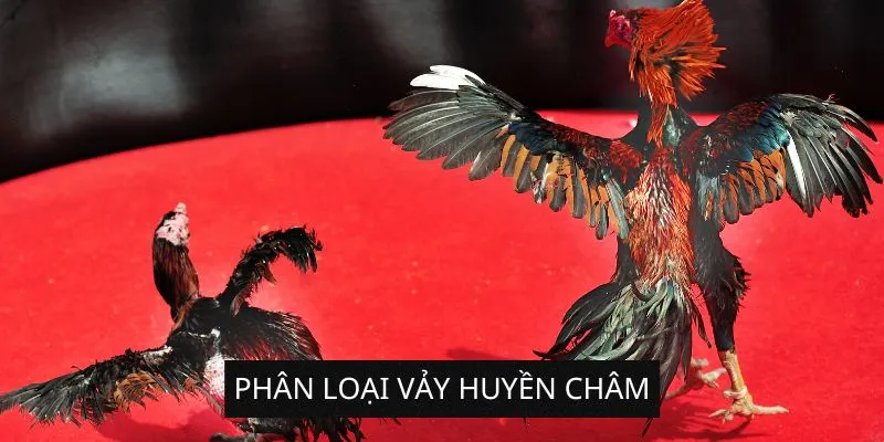 phan-loai-vay-huyen-cham