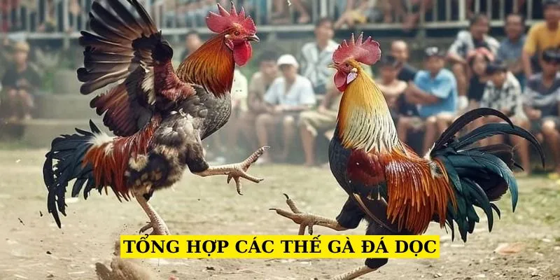 tong-hop-cac-the-ga-da-doc