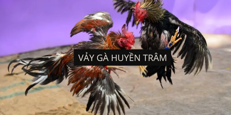 vay-ga-huyen-tram